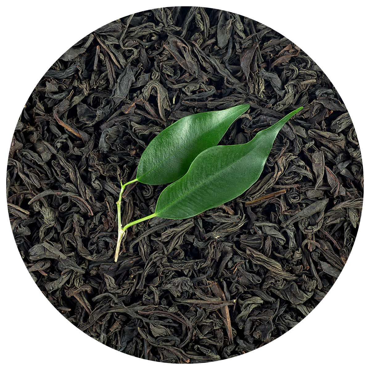 Black Tea